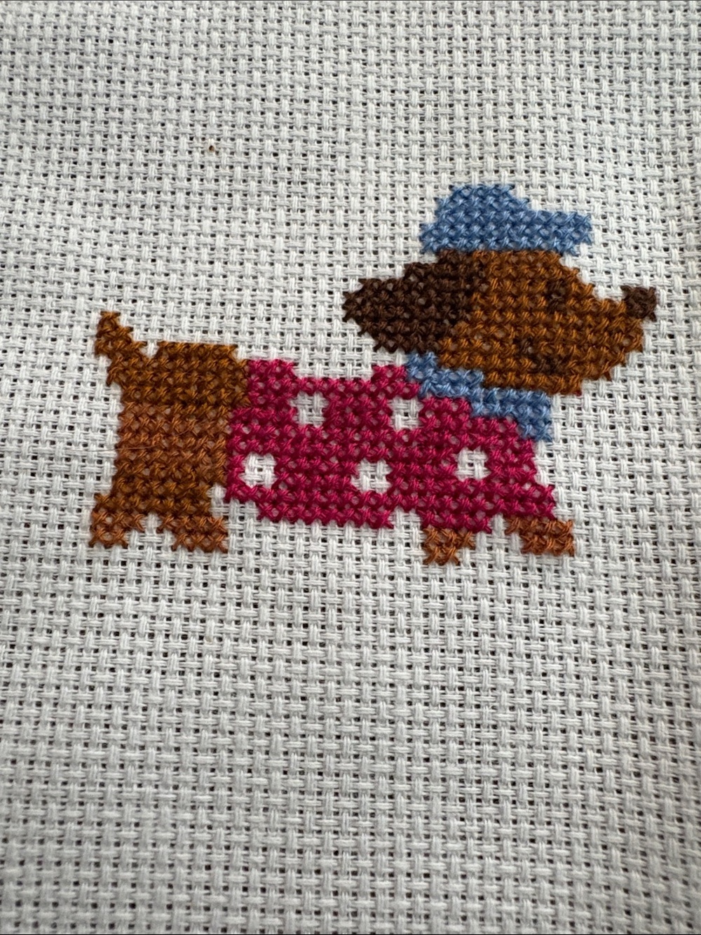 CompletedCross stitch dog in Sweater and cap
